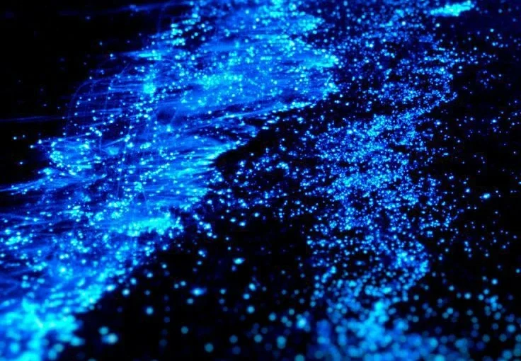 Bioluminescence & Sunset From Montezuma Or Santa Teresa